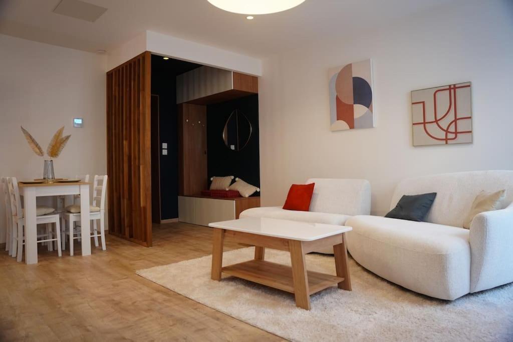 Bel Appartement Centre-Ville سانت إتيان المظهر الخارجي الصورة